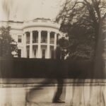 White House 11